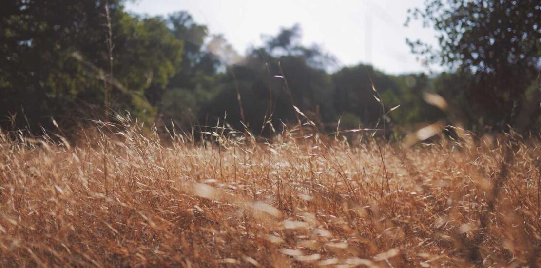 Leading IT Growth: Server Configuration Bangalore Strategy